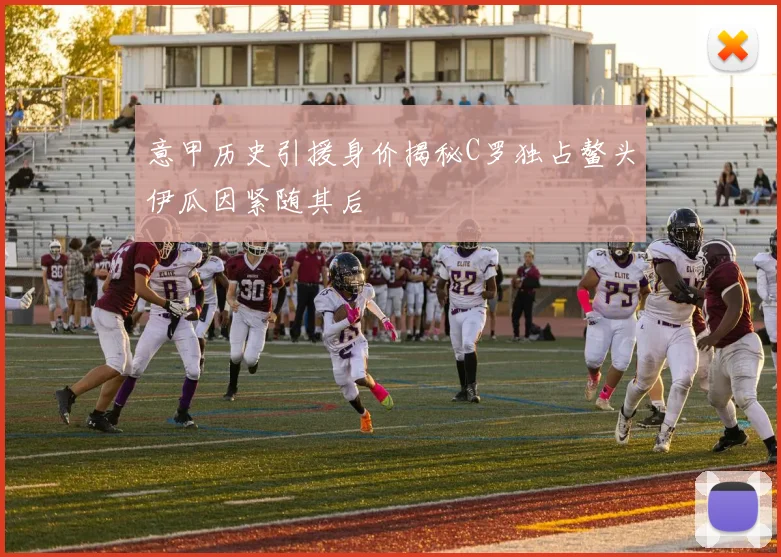 意甲历史引援身价揭秘C罗独占鳌头伊瓜因紧随其后